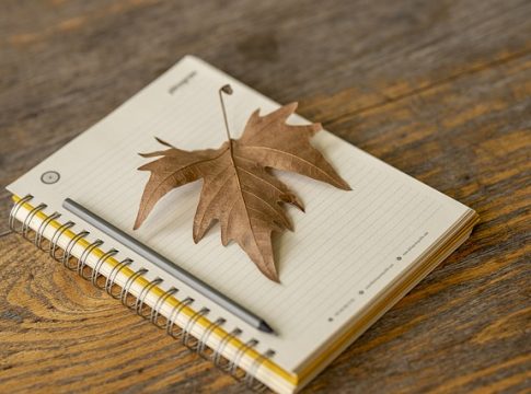 pymes coronavirus crisis coronavirus