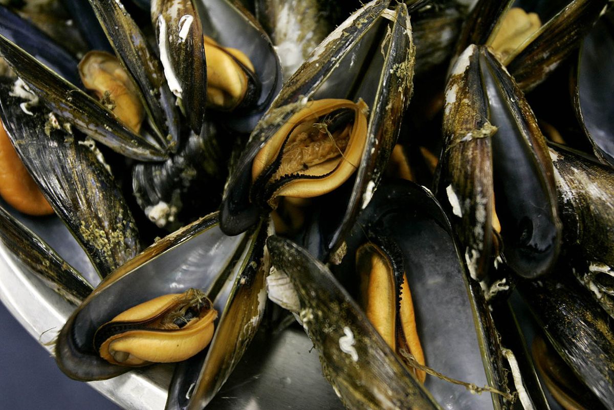 Salsas para disfrutar los mejillones que le dan mil vueltas al tomate