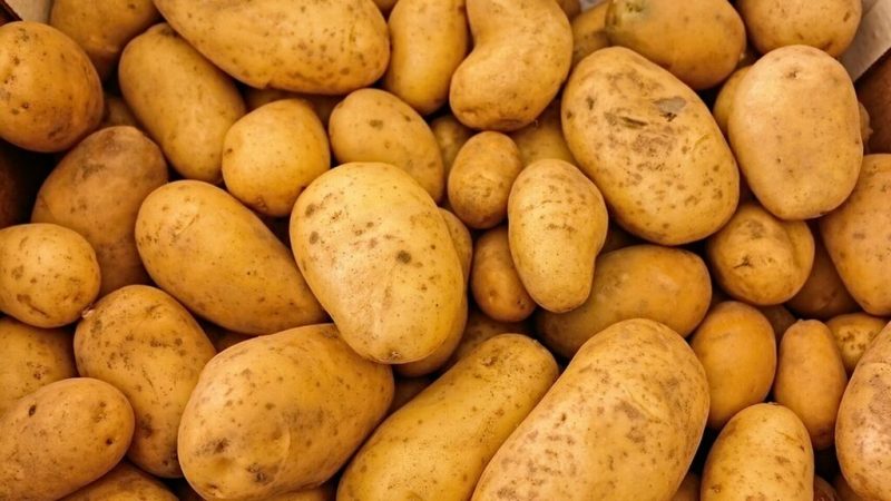 Nutricion 374224791 114083298 1024x576 Merca2