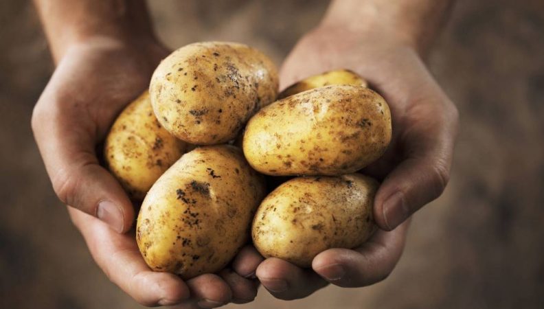 Patatas a lo pobre: la receta exprés de Arguiñano más viral 4 Merca2.es Patatas cáncer Merca2.es