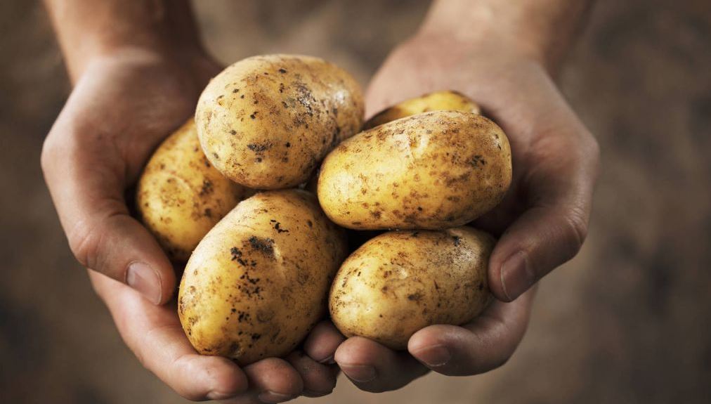 Cuidado: estas son las patatas que pueden provocar cáncer