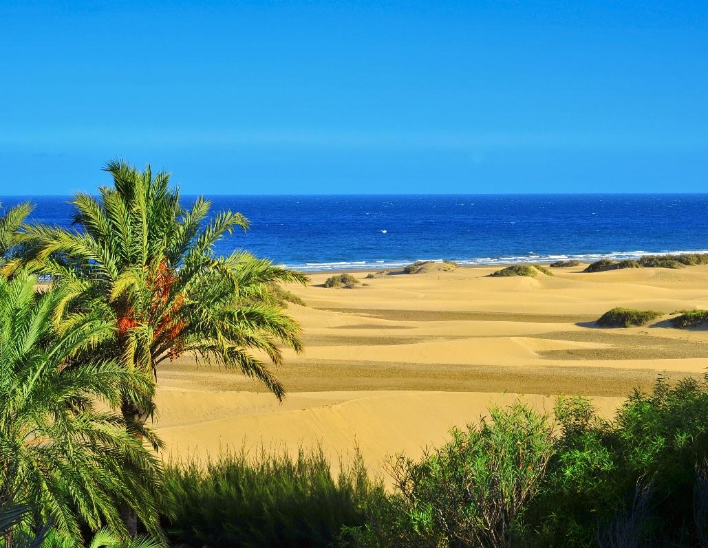 Gran Canaria, la isla de los planes infinitos