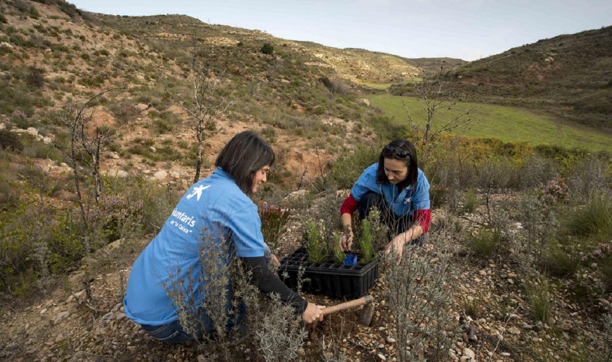 CaixaBank, líder empresarial en su lucha contra el cambio climático por séptimo año