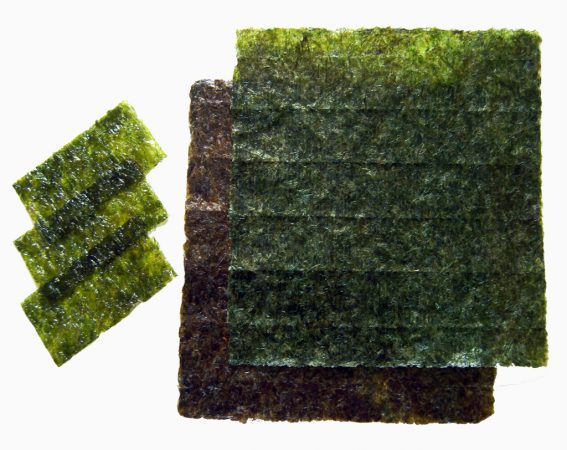 Alga Sushi Nori