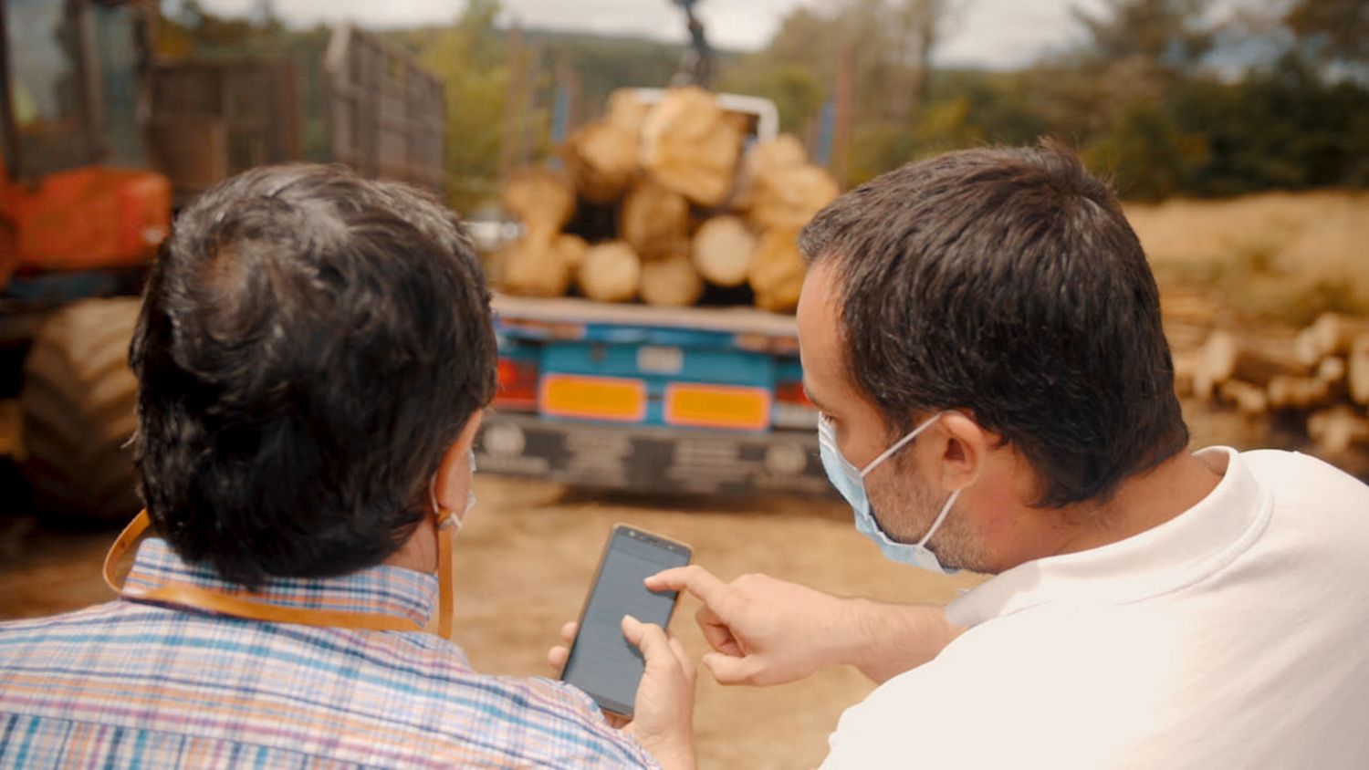 Retos del blockchain y la digitalización en el sector de la biomasa forestal
