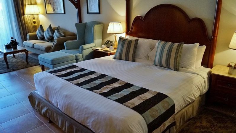 Estos son los insectos que duermen contigo en tu cama