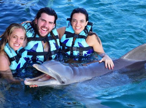 nadar con delfines en Cancún nadar con delfines en Cancún
