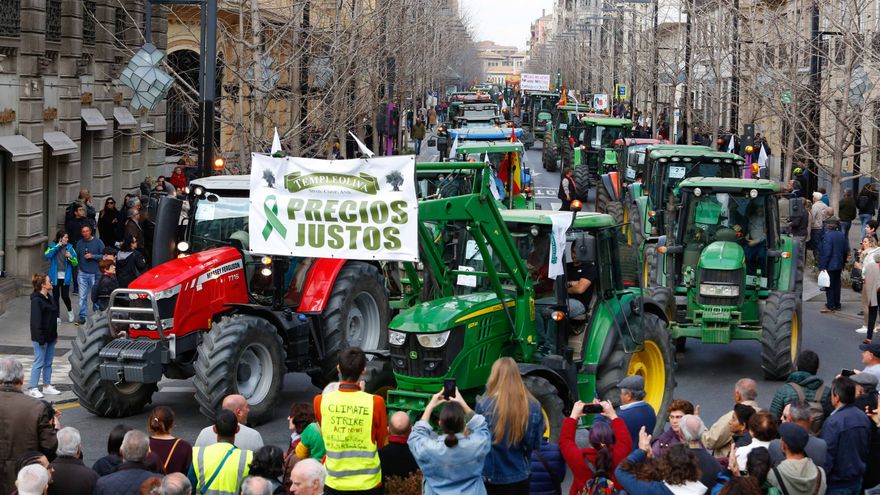 El abandono de una Europa «hipócrita» condena al olivar andaluz