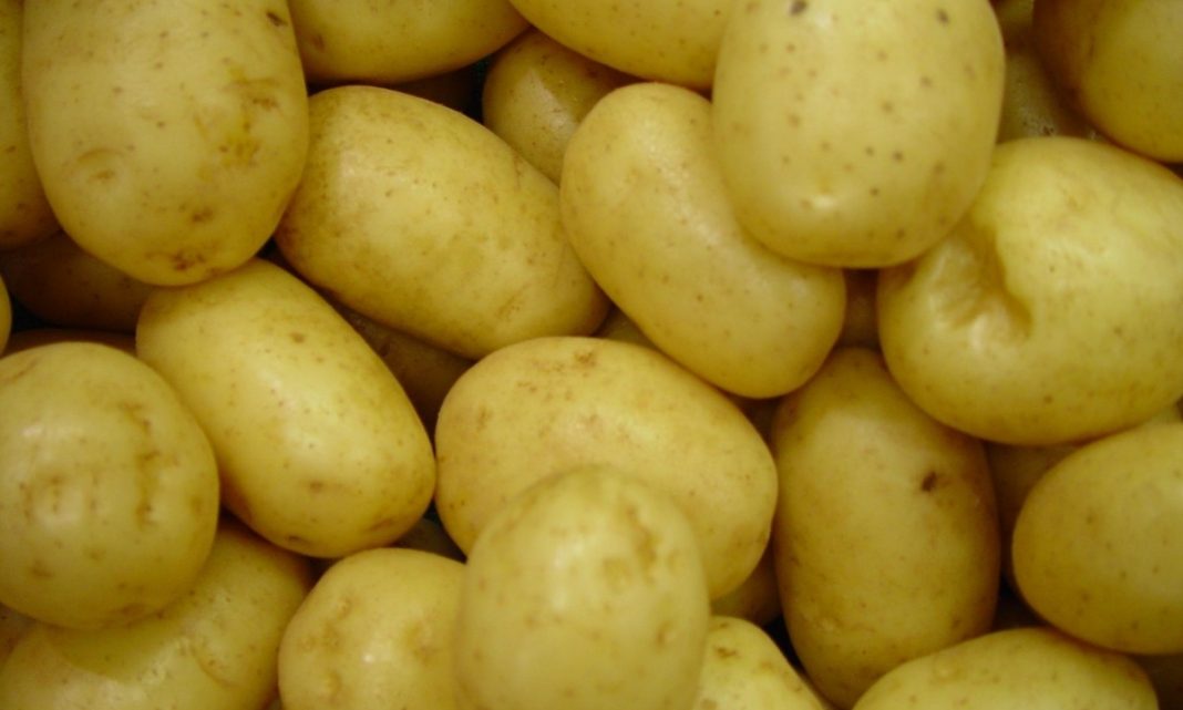 dieta, patata