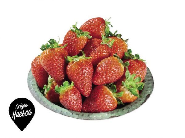 fresas baratas lidl