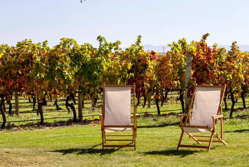 Bodegas Familiares acusa al Gobierno de La Rioja de «falta de apoyo»