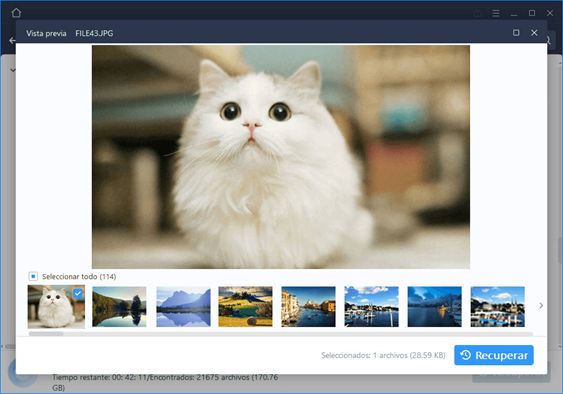 Recuperar archivos borrados de la tarjeta SD o del PC con Windows 3 Merca2.es Imagen3 Merca2.es