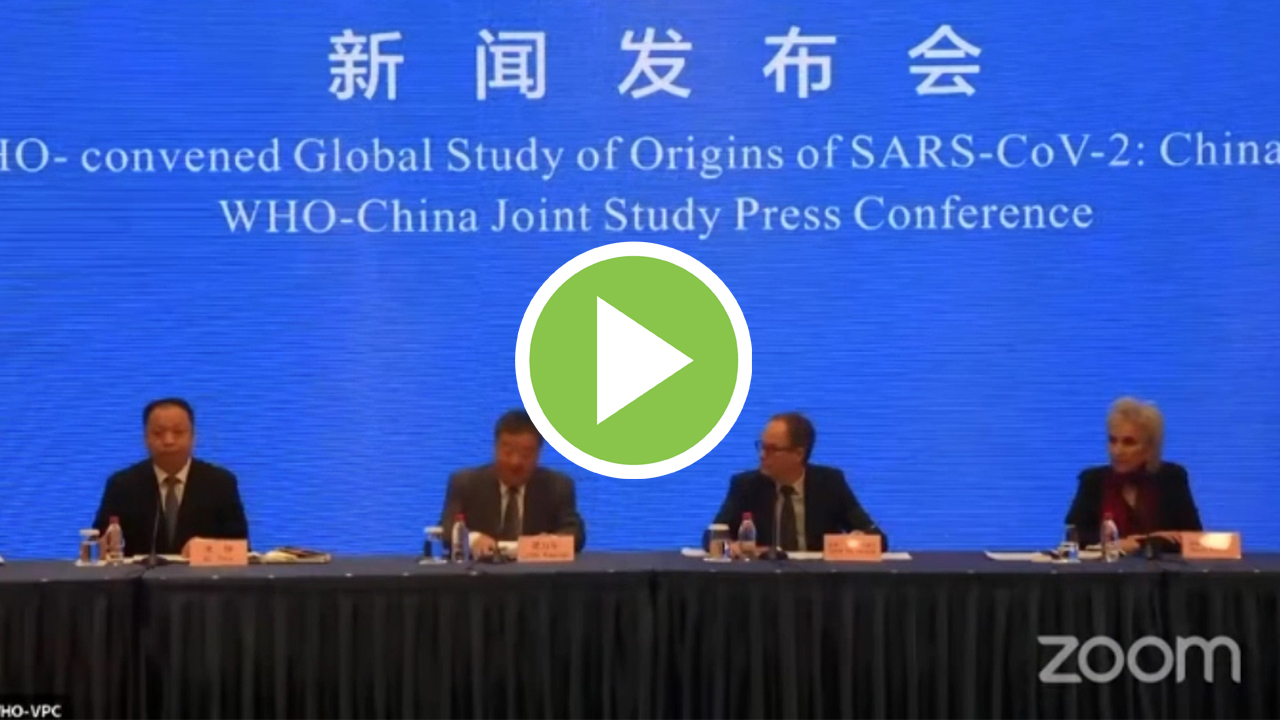 La OMS y China concluyen que el coronavirus es de origen animal