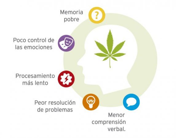 Patologías provocadas por la marihuana