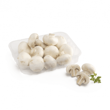 champinones Merca2.es