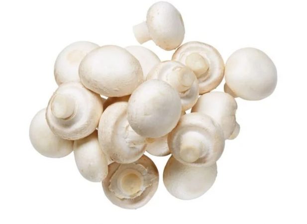 PRODUCTOS EN OFERTA: CHAMPIÓN ENTERO