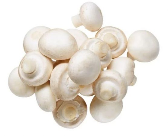 CHAMPIÑÓN ORIGEN 100% ESPAÑOL