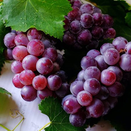 El exceso de Uvas engorda