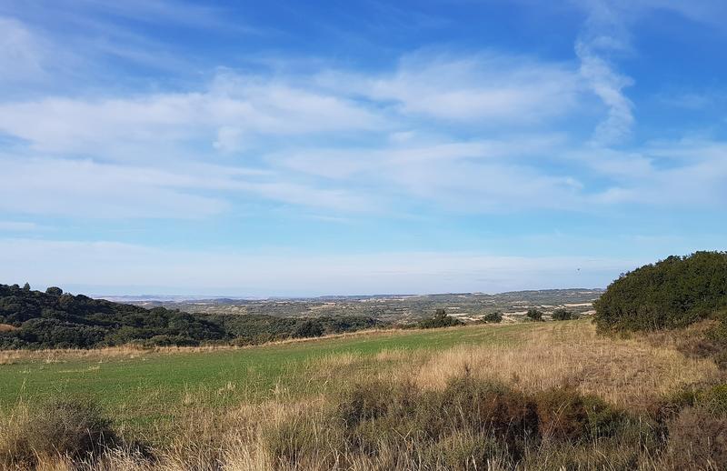 Capital Energy avanza en su primer parque eólico en Aragón, que supondrá una inversión de 47 M€