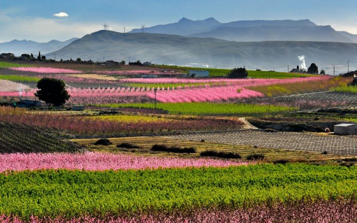 El hermoso Valle de Ricote y Cieza en España