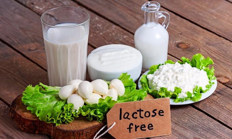 La leche no genera alergias ni intolerancias