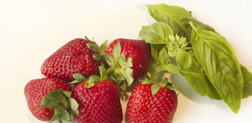 Las fresas y albahacas