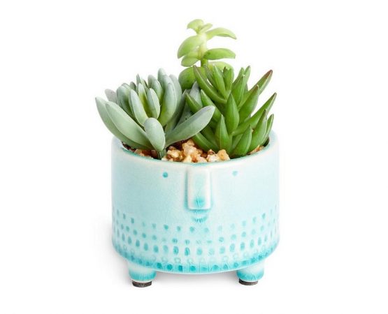 Primark Home: 8 gangas de la nueva colección para que brille tu hogar 6 Merca2.es minimaceta mixta primark home