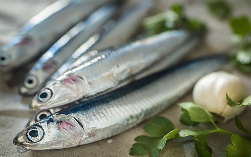 pescados llenos de proteinas y con poca grasa