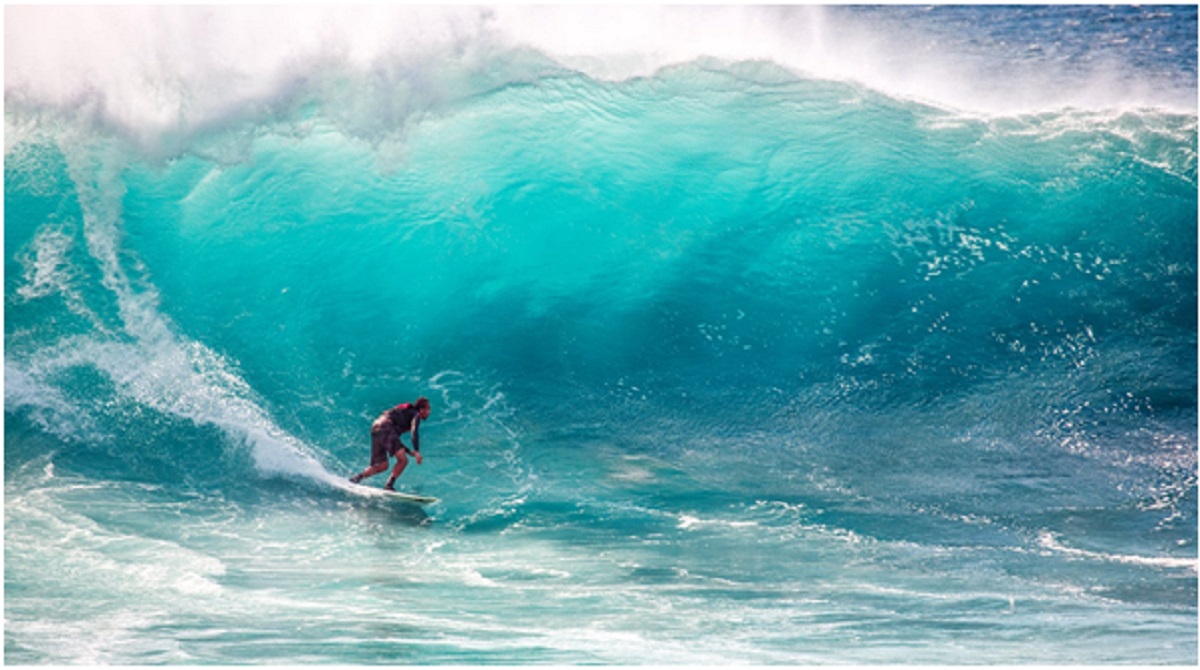 Calima Surf