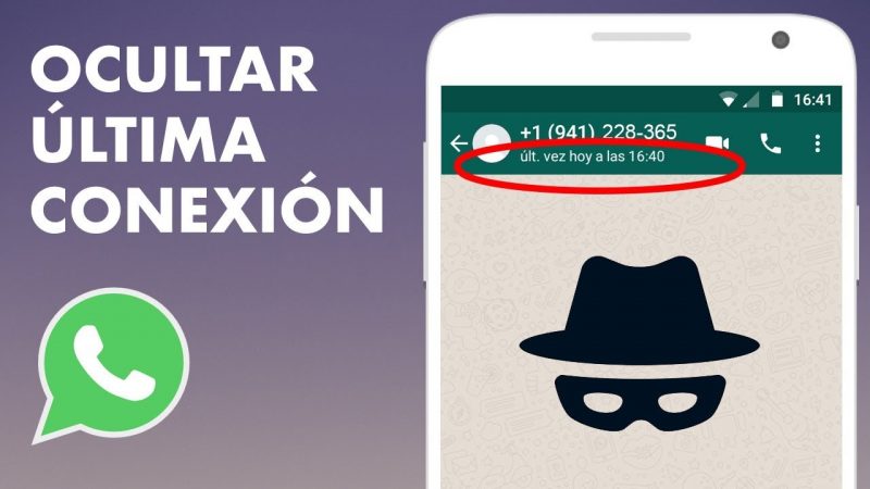 Cosas que puedes hacer en Whatsapp y casi nadie sabe 22 Merca2.es Última conexión