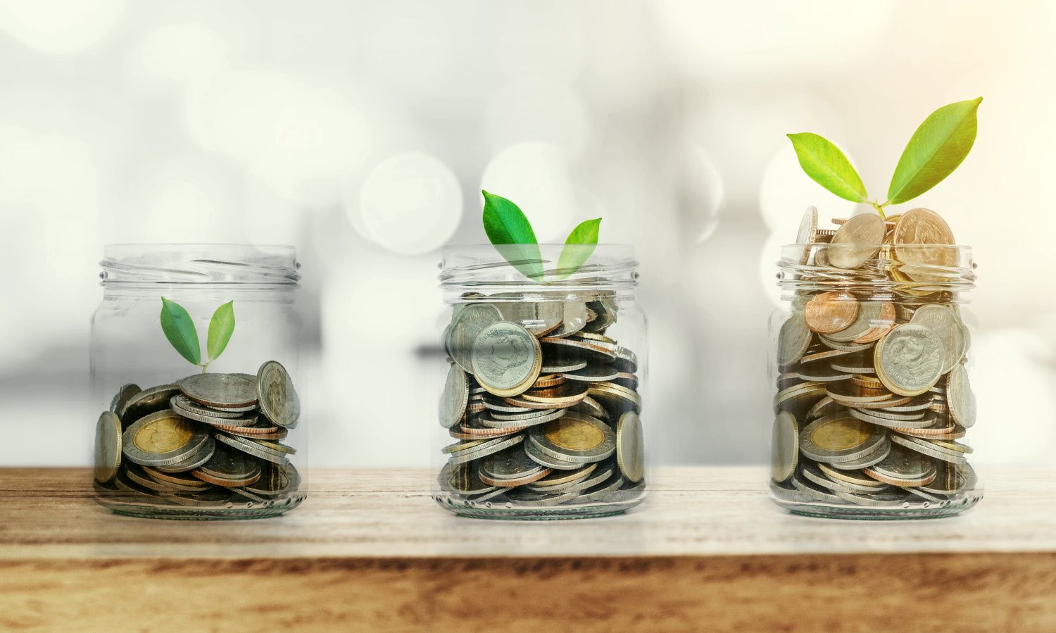 elmejorsegurodevida.com: Qué es el seguro de vida con doble y triple capital y cuándo contratarlo