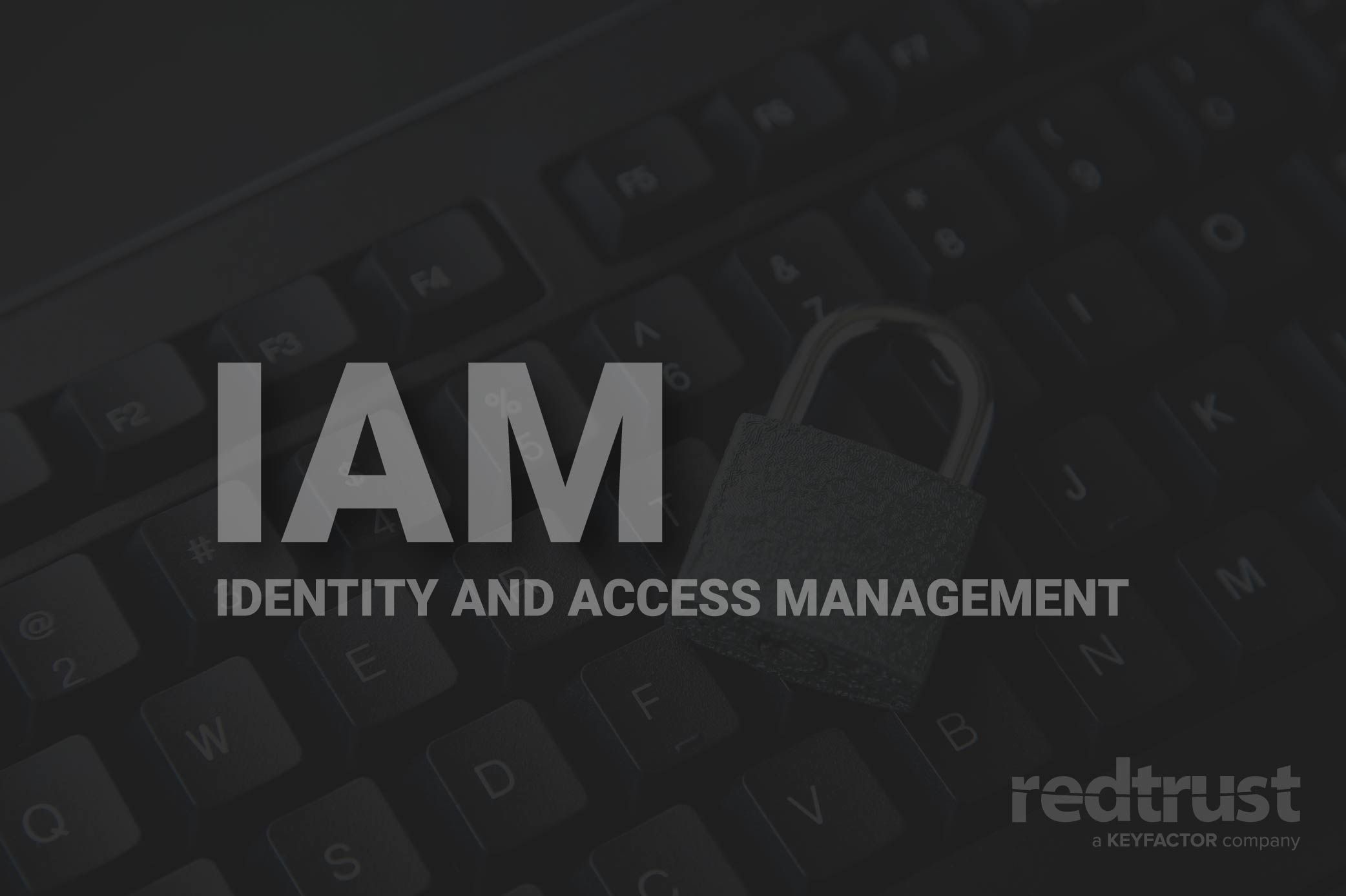 Redtrust impulsado por las nuevas tendencias en las estrategias de gestión de accesos e identidad