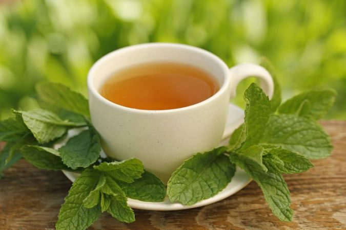  Infusión de menta