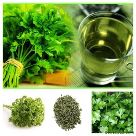 Propiedades del perejil