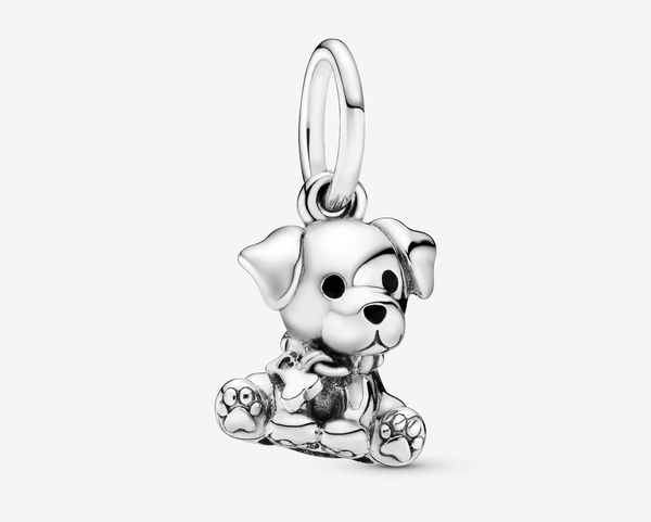 perro labrador Pandora