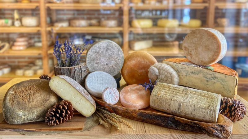 ideas de negocios originales