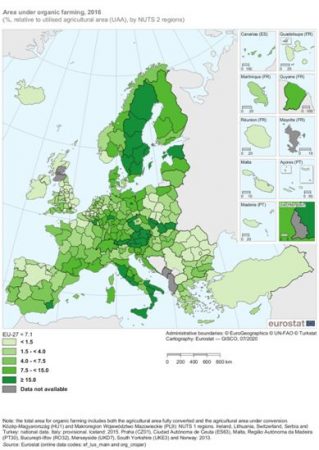 Una agricultura 100% ecológica compromete la independencia alimentaria en la Unión Europea 2 Merca2.es imagen 1 Merca2.es