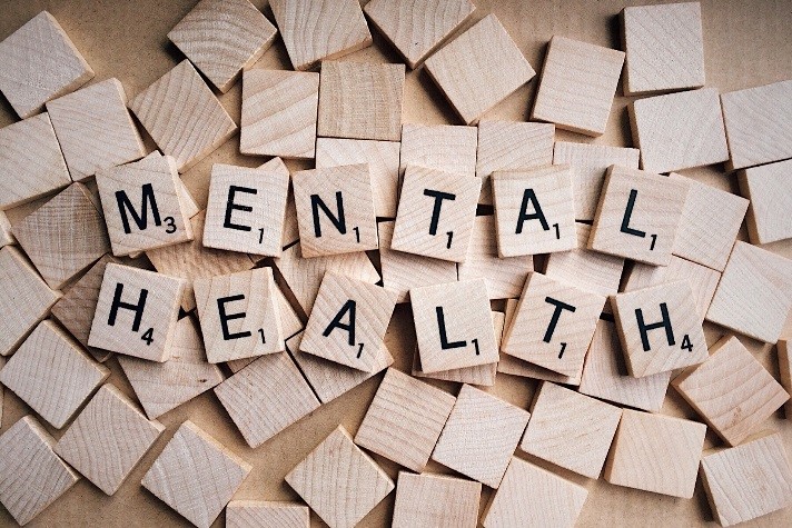 medidas plan de salud mental nacional
