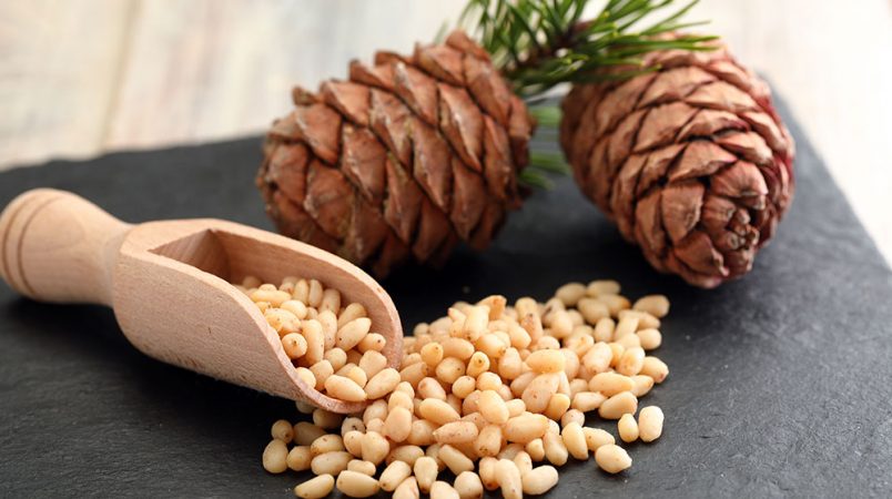 Piñones- Vitamina E