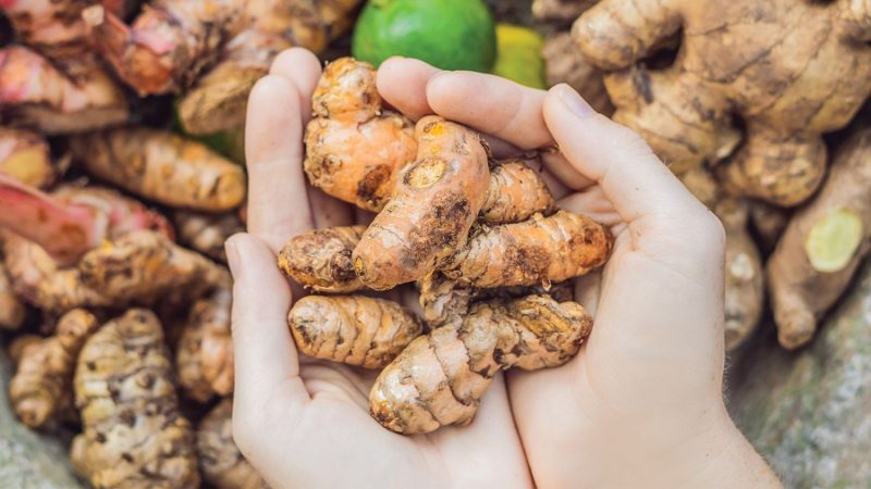 ¿Qué han establecido las autoridades con respecto a la cúrcuma?