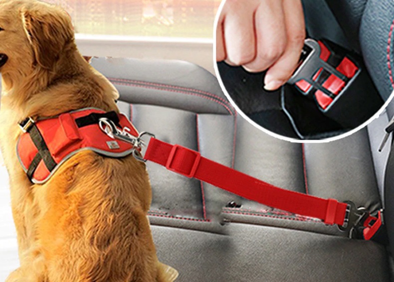 cinturón de seguridad para mascotas