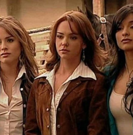 Pasión de gavilanes