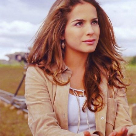 Pasión de gavilanes