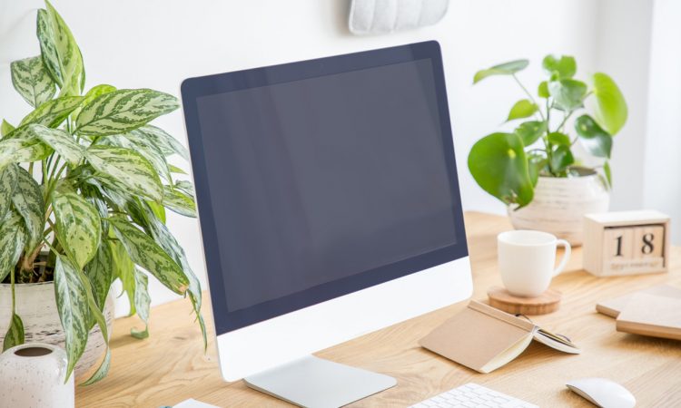 Sostenibilidad trabajando desde casa: claves para conseguirla 17 Merca2.es plantas en la oficina