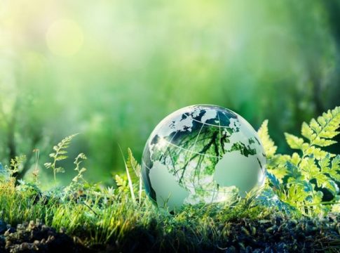 Globe On Moss In Forest - Environment Concept