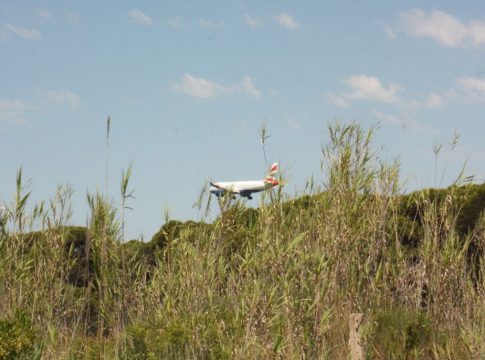 Una avión, en pleno aterrizaje sobrevuela La Ricarda. AJM Una avión, en pleno aterrizaje sobrevuela La Ricarda junto a El Prat. AJM