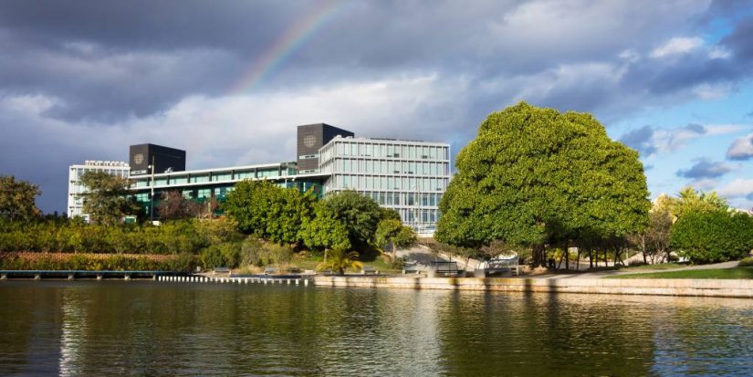 emprendimiento malaga