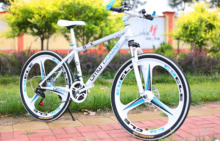 bici montaña blanca