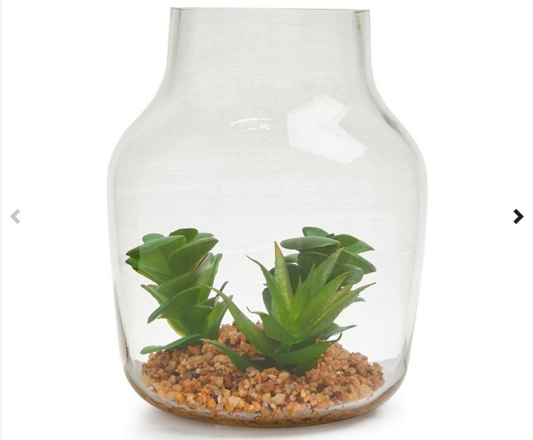 terrario de cristal