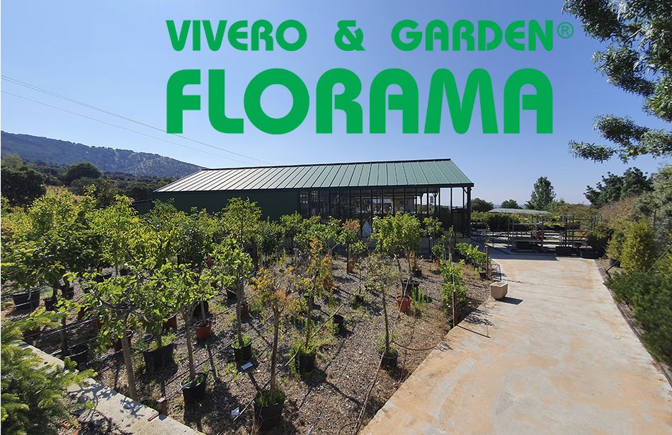 VIVEROS FLORAMA: ¿Cómo elegir las plantas en un vivero?